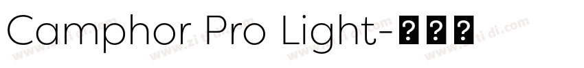 Camphor Pro Light字体转换